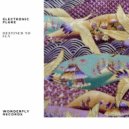 Electronic Fluke - Destined to fly