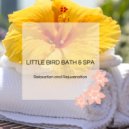 Liquid Ambiance - Asharam Spa