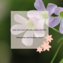 Ambient 11 - Roots Of Life