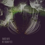 Shabboo Harper - Into Thousand Pieces
