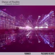 A Smooth Architect - The City Light