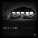 Secluded - BD.204 (Original Mix)