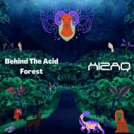 Hizaq - Behind The Acid Forest