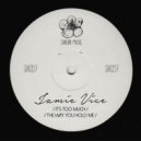 Jamie Vice - The Way You Hold Me (Original Mix)