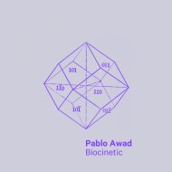 Pablo Awad - Hadronite