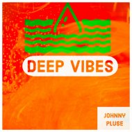 Johnny Pluse - Deep Vibes