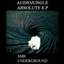 AudioJungle - Of The Life (Original mix)