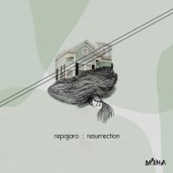Repajaro - In & Out