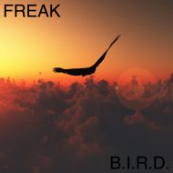 Freak - Sad Bunnies