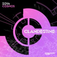 ZOYA - Cosmos