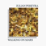Julián Pereyra - Sinergia