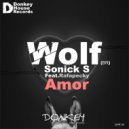 Sonick S & Wolf ( BR ) & Rafapecky - Amor (Original mix)