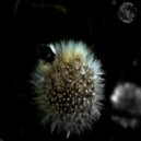 Bode V - Universe (JSE Remix)
