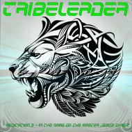 Tribeleader - Meditation 2 - In The Name of The Master Jesus Christ