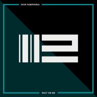 Igor Pumphonia - Wait On Me