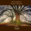 R1TURAJ - Stronger Than Ever (Radio Edit)