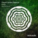 David James Bianchi - Crow (Rotchellett Remix)