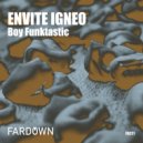 Boy Funktastic - Funtion (Original Mix)