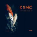 KSNC - Disturbance