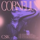 Csk - Fall Out Down (Ricardo Ruben Remix)