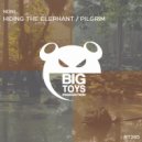 NDNL - Pilgrim (Original Mix)