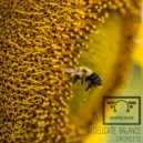 Drone375 - Delicate Balance (Original Mix)