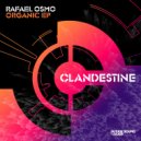Rafael Osmo - Organic (Original Mix)
