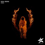 Soul Seers - Angel