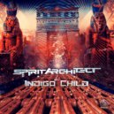 Spirit Architect - Pleaiadian (Original Mix)