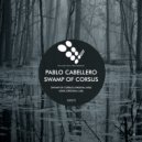 Pablo Caballero - IXXIIS