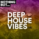 DJ Tommy Noir - Just Love (Original Mix)