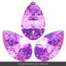 Melodymann - Tonight (CEV\'s 4D Mix)