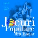 Ansamblul Timisul - Sarba de la Caransebes (Original Mix)