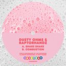 Dusty Ohms & RaptorHandz - Shake Shake