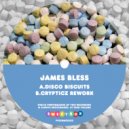 James Bless - Disco Biscuits (Crypticz Rework)
