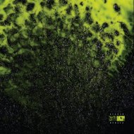EVA808 - Skull in the Mud