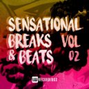 Distape, Tony Garbo - Shock Me Down (Original Mix)