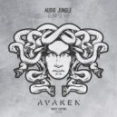 Audio Jungle - Beaufitul Darkness (Original Mix)
