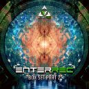 Alternate Side - Binary Ignition