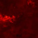 DarkwooD - Модель