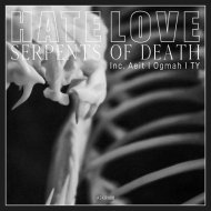 Hatelove - I Don\'t Care Who You Are, Punk