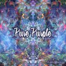 Psypien - Physical Litness (Original mix)