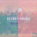 "Secret Crush (USA & Seattle)" - Bouquet Grey (Original Mix)