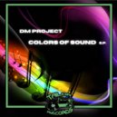 DM Project & Diego Burroni & Marco Gobbi - Basswerk (Original mix)