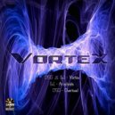 0x1 & DSG - Vortex