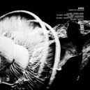 ASKE - Kernel Panic