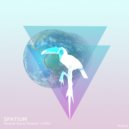 Ricardo Rocha Presents EIRA - Spatium