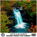 Eitux & Bluorch - Sound From The Forest