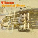 The Torero Band - Spanish Flea ()