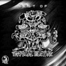Tropical Bleyage - Reborn (Original Mix)